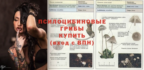 хмурый Армянск
