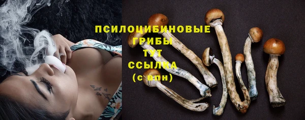 ALPHA-PVP Арсеньев