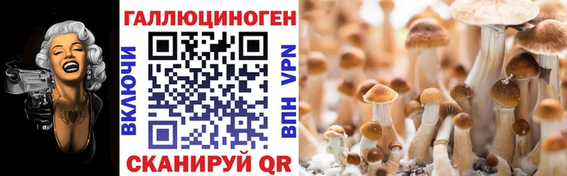 Галлюциногенные грибы Psilocybine cubensis  Купить где  Ефремов 